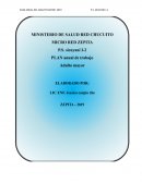 PLAN ANUAL DE LA ESTRATEGIA SANITARIA ADULTO MAYOR