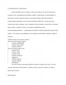 LAS RAÍCES DE LA VIOLENCIA