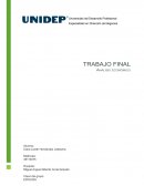 ANÁLISIS ECONÓMICO