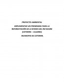 REFORESTACION AMBIENTAL