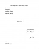 Principios constitucionales de la tributación