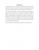 Anatomia y fisiologia humana