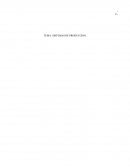 Sistemas de Produccion