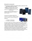 Paneles solares el futuro?