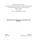 PRESUPUESTO POR PROGRAMA Y POR PROYECTO