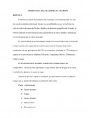 PRODUCTOS QUE SE EXPORTAN A EUROPA