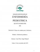 Proceso de atención de Enfermería: Colecistitis