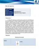 Integración del plan de negocio