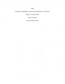 Utilizando y Ampliando los Recursos Eficientemente y con Eficacia