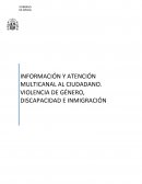 INFORMACIÓN Y ATENCIÓN MULTICANAL AL CIUDADANO. VIOLENCIA DE GÉNERO, DISCAPACIDAD E INMIGRACIÓN