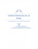 Caracteristicas de las Pyme