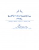 Caracteristicas de las Pyme