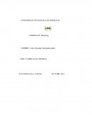 ANALISIS DE LA EVOLUCION DE LA WEB Y CORREO ELECTRONICO