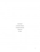 Investigacion de Mercado - Semana 2