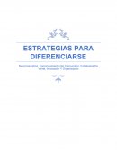 Neuromarketing, Comportamiento Del Consumidor, Estrategias De Venta, Innovación Y Organización