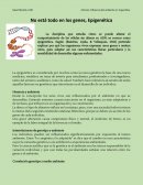 Epigenética