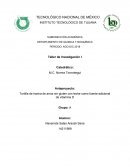 Anteproyecto Tortilla de harina de arroz