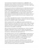 Ensayo de Administración