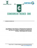 Procedimiento Constructivo Ampliación Red Electrica