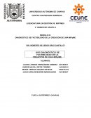 PROYECTO DE CALZADOS DEPORTIVOS