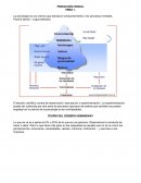 Tema1 psicologia social
