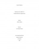 Importancia de la calidad en la Competitividad de las organizaciones