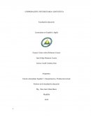 Electiva disciplinar Español 1- Interpretación y Producción textual