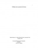 El dibujo como expresion de la forma