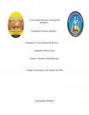 Juzgados de Paz y Letras