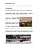 Ejemplos de activos fijos