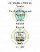 Proyecto Integrador Cemento