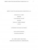 DISEÑO Y ESTRUCTURA ORGANIZACIÓNAL DE BIOTÉCNICA