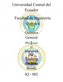Proyecto Integrador Cemento. Página 1
