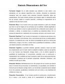 Síntesis Dimensiones del Ser