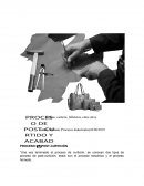 PROCESO DE POST-CURTICIÓN