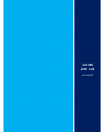 Prácticas de Laboratorio INDICADORES ÁCIDO – BASE (GUÍA DE LABORATORIO). Página 1
