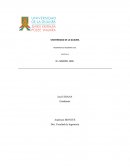 PROYECTO MINERO DESVIACION ARROYO BRUNO PARA CONTINUAR CON EL PLAN DE EXTRACCION DE CARBON EN EL DEPARTAMENTO DE LA GUAJIRA