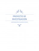 INVESTIGACIÓN SITUACIÓN BASURA VALLADOLID YUC