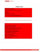 Plan Estratégico Bachi Barcelona