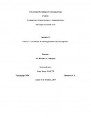 Estrategias y Niveles