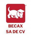Proyectos de negocio BECAX SA DE CV