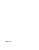 Instrumentos para la investigación jurídica