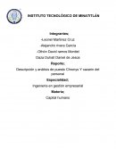 Descripción y análisis de puesto Chronys Y cazarin del personal