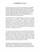 La Brújula y la aves