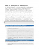 Que es la seguridad alimentaria?