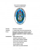 PROGRAMA ESTIMULACION TEMPRANA PARA EL DESARROLLO PSICOMOTOR- SOCIAL INFANTIL (DIRIGIDO A NIÑOS DE 6 A 10 AÑOS) “HOGAR SANTA CRUZ”