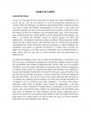 DIARIO DE CAMPO
