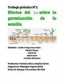 Efectos del sobre la germinación de la semilla