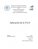 Teoria general de sistemas. Teoría de la cibernética