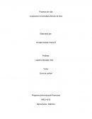 Zona de confort y como salir de ella